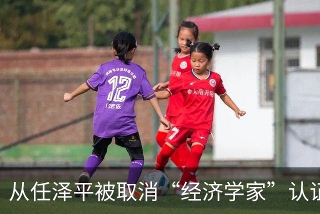 从任泽平被取消“经济学家”认证说起