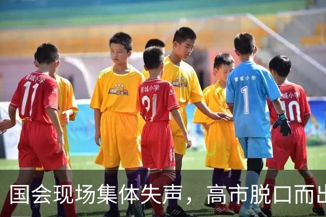 国会现场集体失声，高市脱口而出的四个字，暴露了日本政坛的秘密