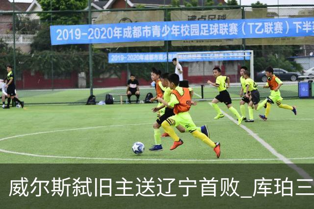 威尔斯弑旧主送辽宁首败 库珀三分7中1无力回天