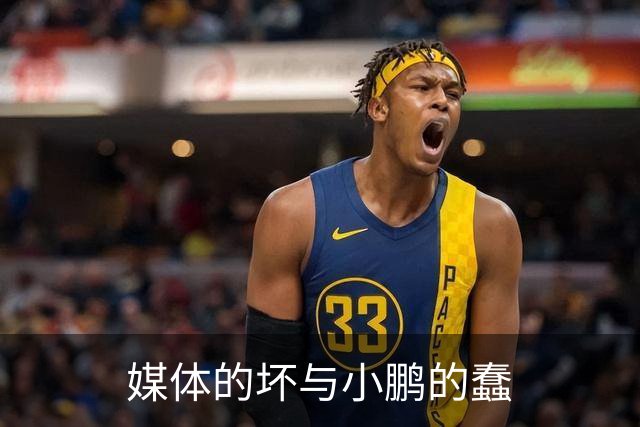 媒体的坏与小鹏的蠢
