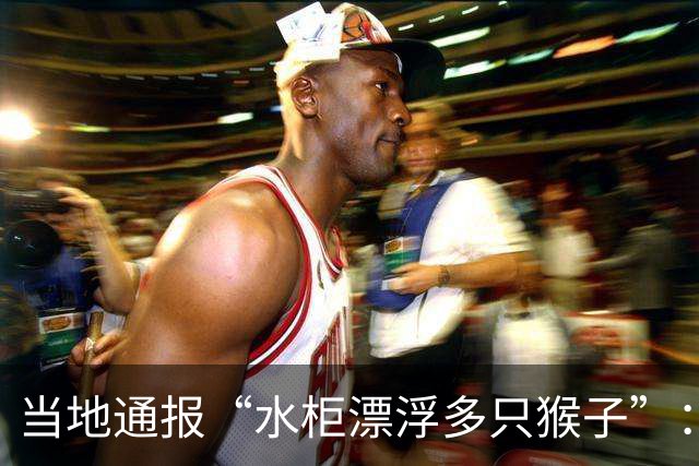 当地通报“水柜漂浮多只猴子”：系猴群下山饮水时不慎溺亡，已全部打捞并作无害化处理；水柜用于农业灌溉，已完成首轮消杀