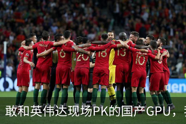 敢和英伟达现场PK的国产GPU，我是服的