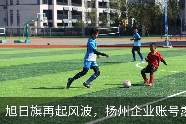 旭日旗再起风波，扬州企业账号嚣张留言“一起披”，汤家凤怒了！