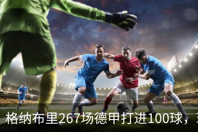 格纳布里267场德甲打进100球，现役德甲球员中第三位百球先生