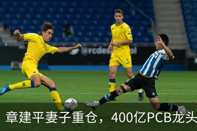 章建平妻子重仓，400亿PCB龙头封死涨停