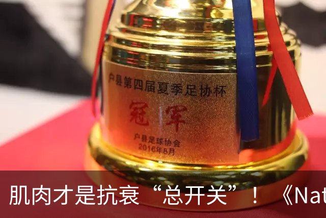 肌肉才是抗衰“总开关”！《Nature》实锤：寒冷延寿的关键分子找到了，不用挨冻也能触发