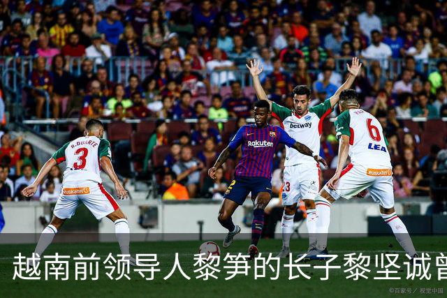 越南前领导人黎笋的长子黎坚诚曾在采访中，当年父亲之所以对中国采取强硬行动，是因为越南高层认为自己已经凑齐了三张足以取胜的“底牌”