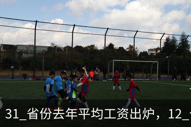 31 省份去年平均工资出炉，12 个省份非私营单位超 12 万，还有哪些信息值得关注？